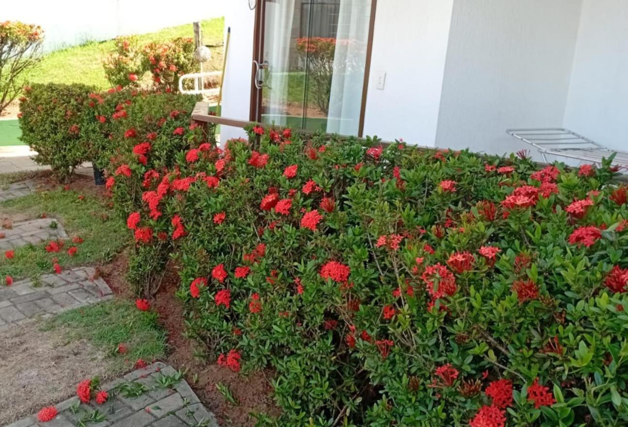 Flat Em Pipa - Brisas Do Amor Praia de Pipa 객실 사진
